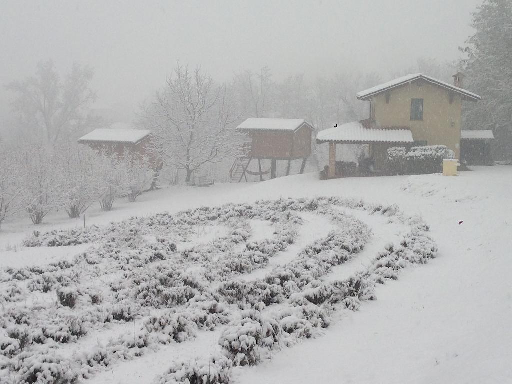 Ecolodge Langhe Cherasco Buitenkant foto