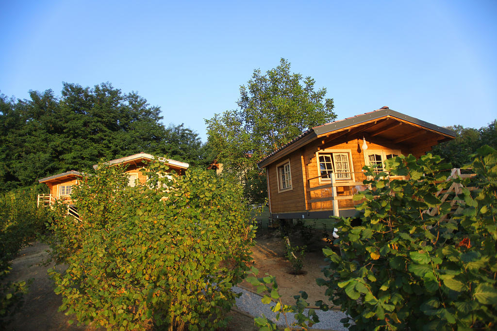 Ecolodge Langhe Cherasco Buitenkant foto